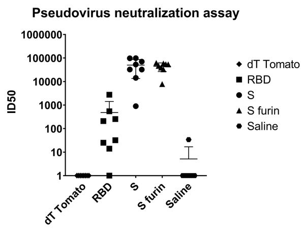 Pseudovirus neutralization assay providence therapeutics reports