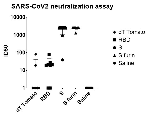 SARS CoV2 neutralization assay providence therapeutics reports